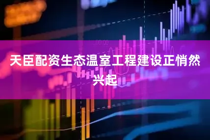天臣配资生态温室工程建设正悄然兴起