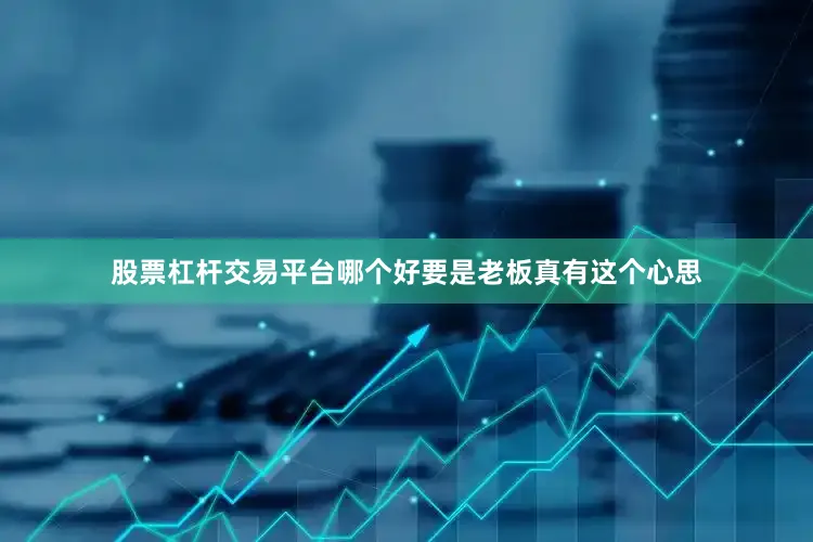 股票杠杆交易平台哪个好要是老板真有这个心思
