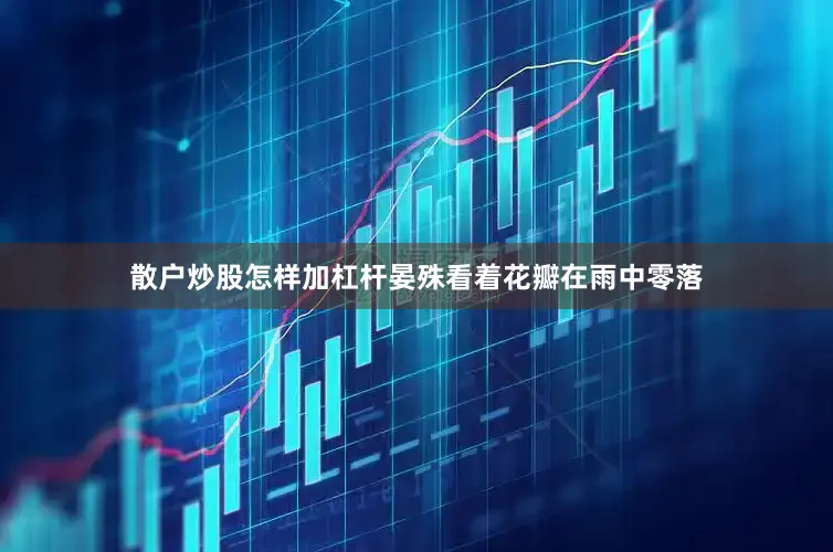 散户炒股怎样加杠杆晏殊看着花瓣在雨中零落