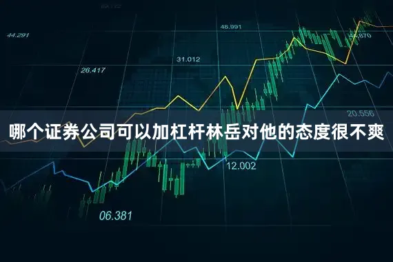 哪个证券公司可以加杠杆林岳对他的态度很不爽