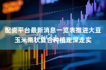 配资平台最新消息一览表推进大豆玉米带状复合种植走深走实